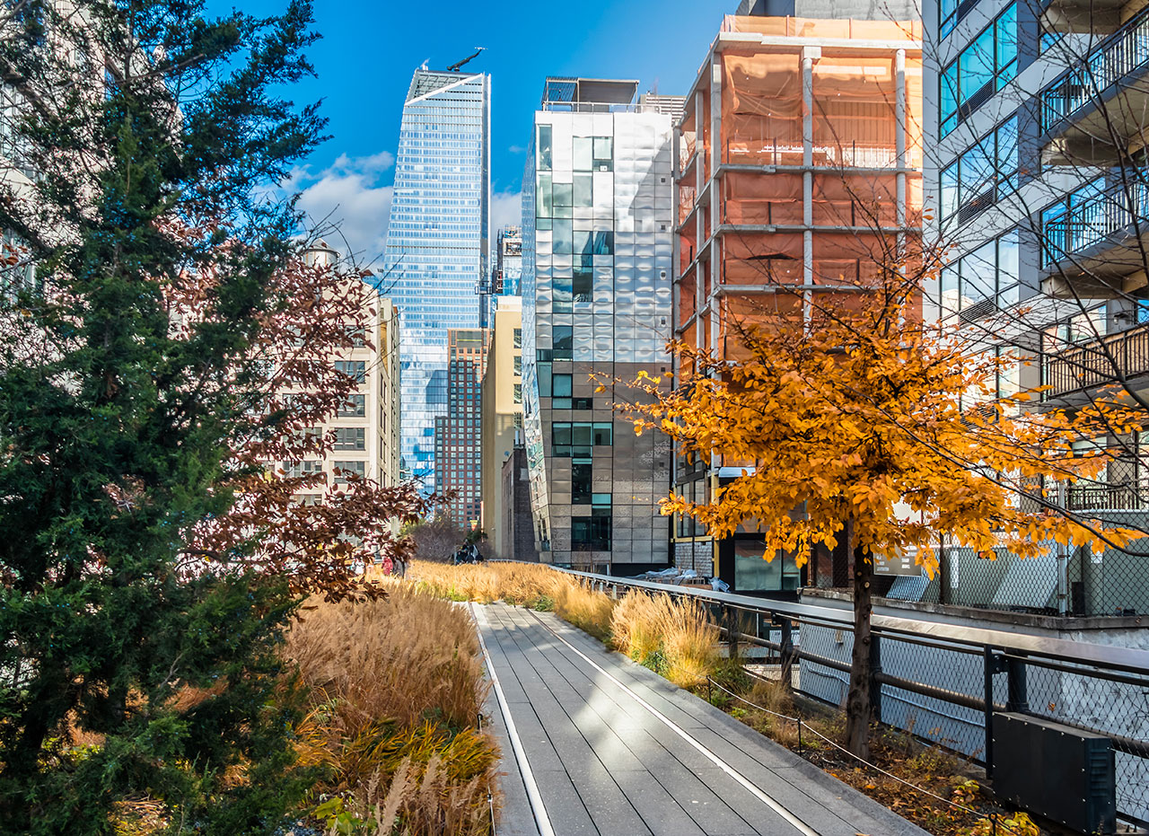 High line Park New York